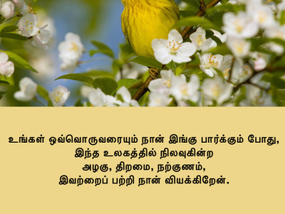 So-much-beauty-talent-and-goodness-t