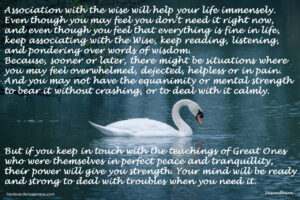 Association with the wise