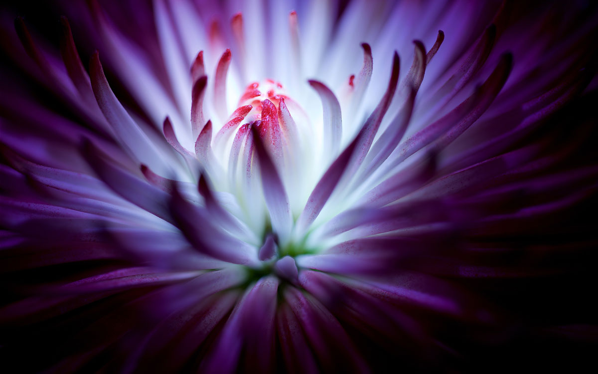 Stillness of mind is not dullness