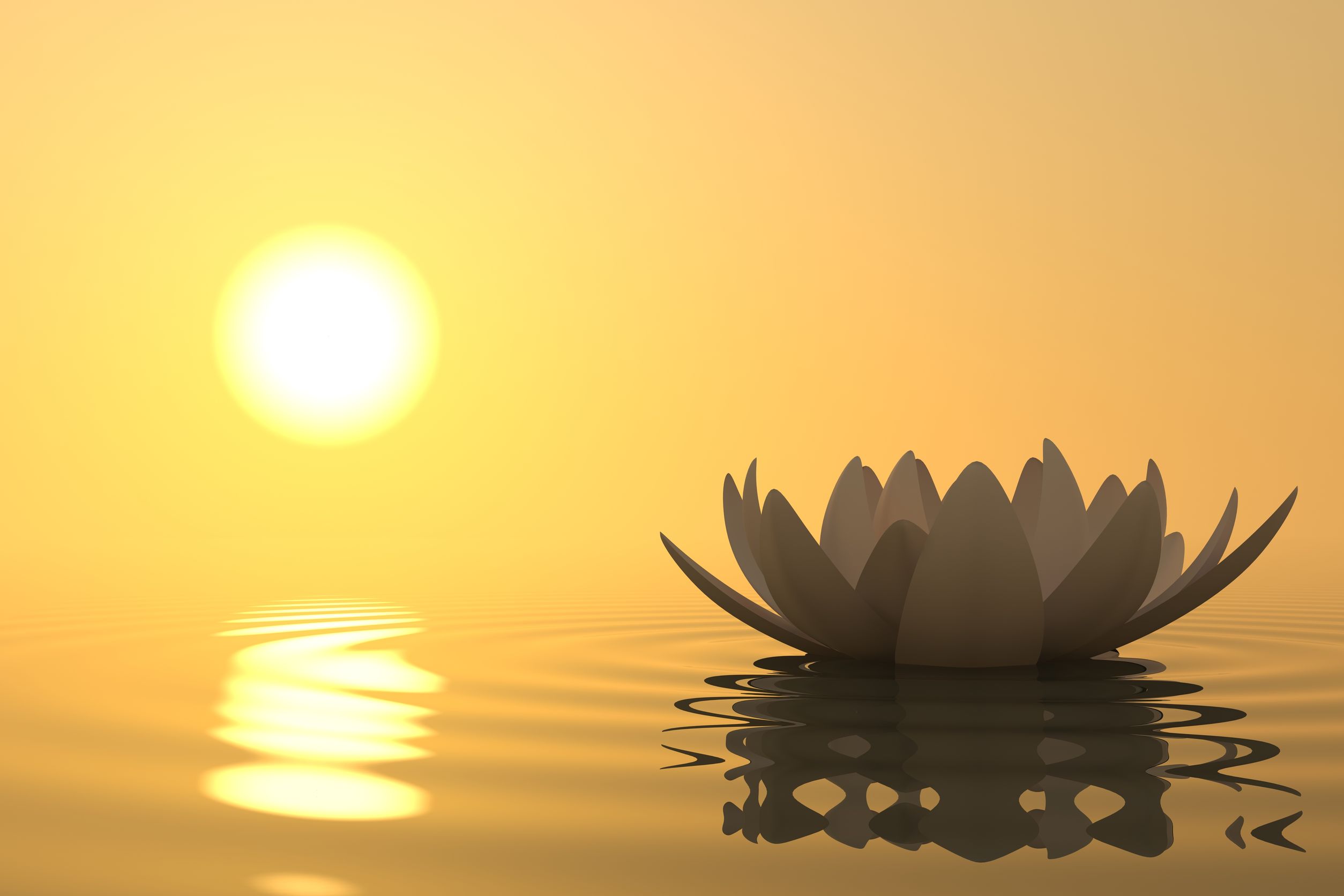 Meditation Theory and Practice
